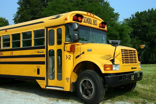 School bus_profile_pixabay